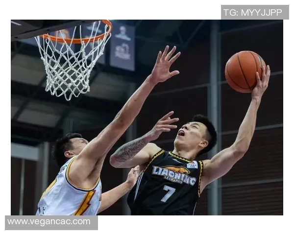 新疆男篮对阵辽宁的精彩直播盛况全程回顾与分析