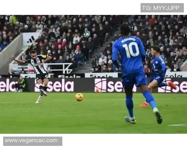 纽卡斯尔迎战莱切期待精彩对决双方球员状态引人关注