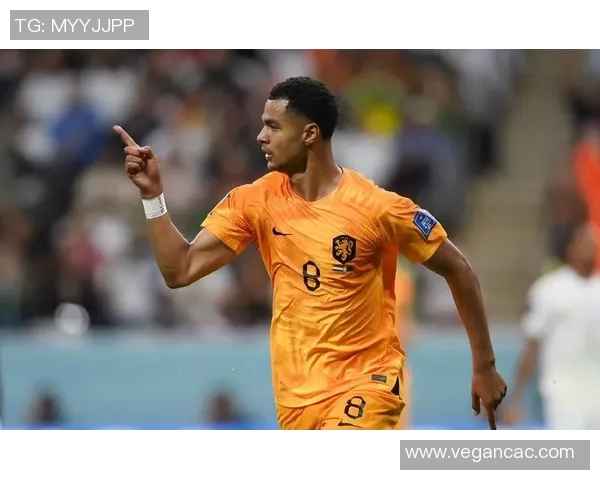 加克波:从新星崛起到足坛巨星的辉煌之路与未来展望